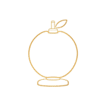 Large category icon fruit lamp golden line icon
